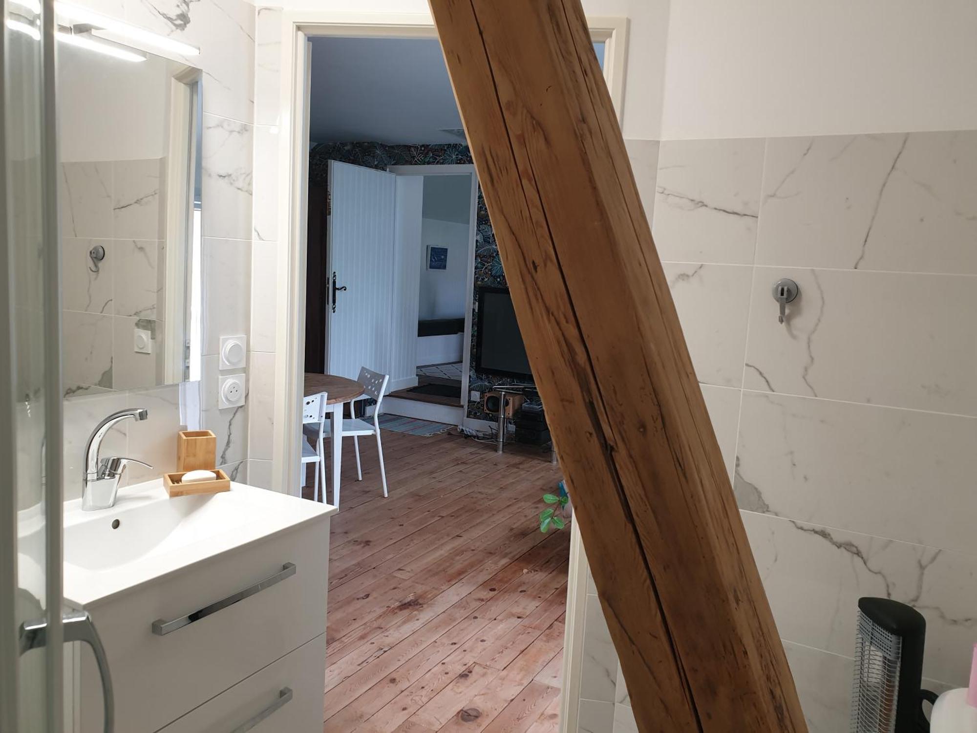 L 'Appartement Du Rocher Шато-дю-Луар Экстерьер фото